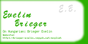 evelin brieger business card